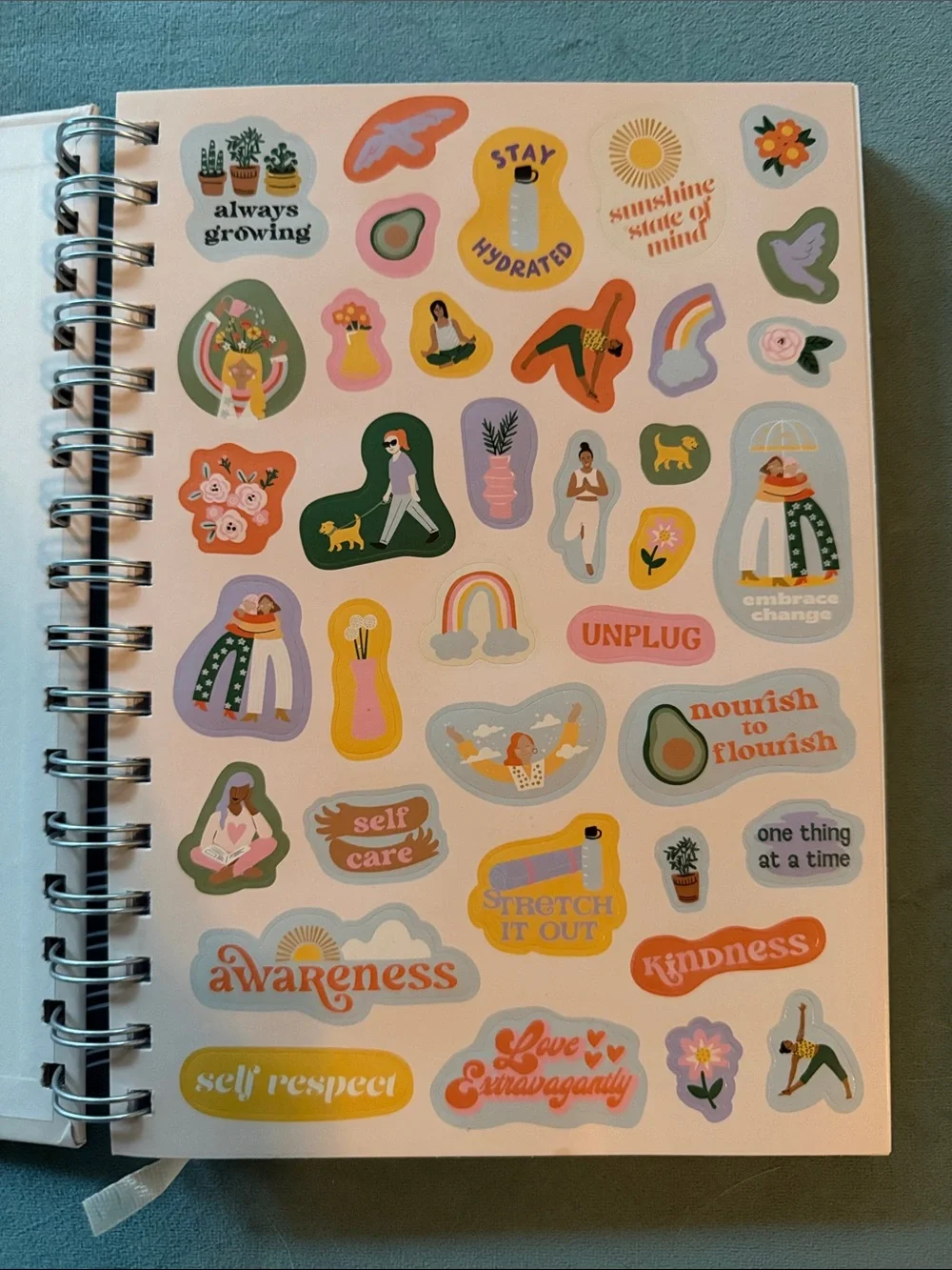 Gratitude Journal Spiral Notebook